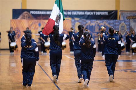 BCA Degree 的图像结果