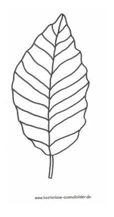malvorlagen herbst blatt malvorlage buchenblatt malvorlagen fensterbilder malvorlagen herbst blatt malvorlage buchenblatt malvorlagen fensterbilder