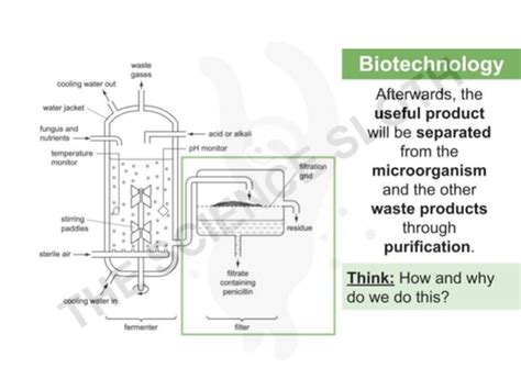 Example of a Biotechnology Process 的图像结果