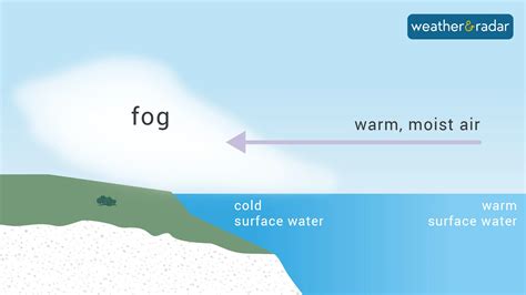 Autumnal features: 10 facts about fog – Weather News