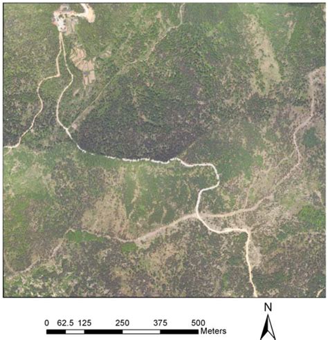 Improving Measurement of Forest Structural Parameters by Co-Registering ...