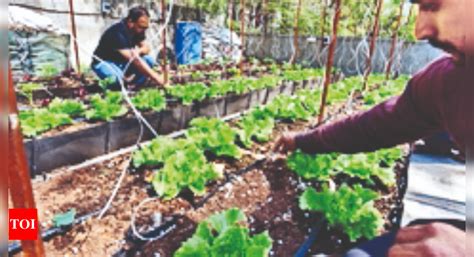 Farmers Hail Organic Farming Policy | Trichy News - Times of India