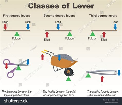Image result for Types of Levers