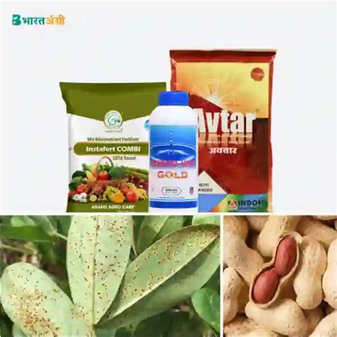 Groundnut Suraksha Kit - Rust (20-100 days) | COD Available ...