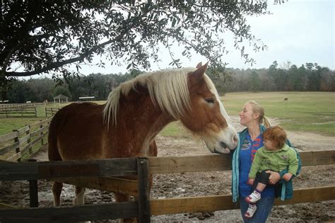 DeShazer Three: Mill Creek Farm