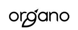 TWS Globe Web designing, Development company in Hyderabad