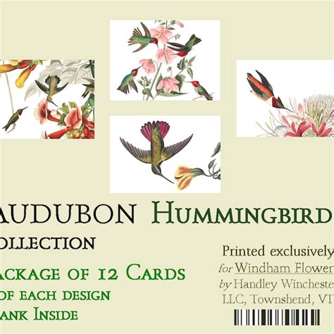 Image result for Hummingbird Card