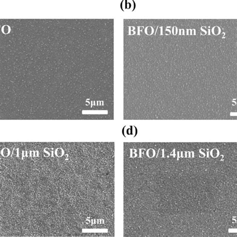 Pattern SiO2 Substrate 的图像结果