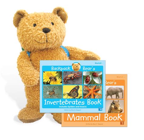 Image result for Starfall Fractions