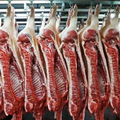 巴西农业部要求输华牛肉企业减产_出口