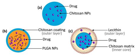 Recent Progress in Chitosan-Based Nanomedicine for Its Ocular ...