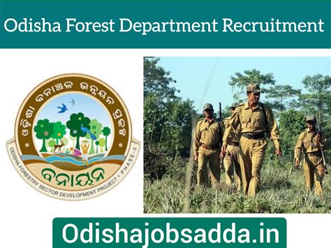Odisha Forest Department New Recruitment 2024 ! Apply Now For ...