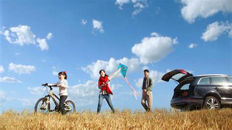 Cost of Car Insurance 的图像结果