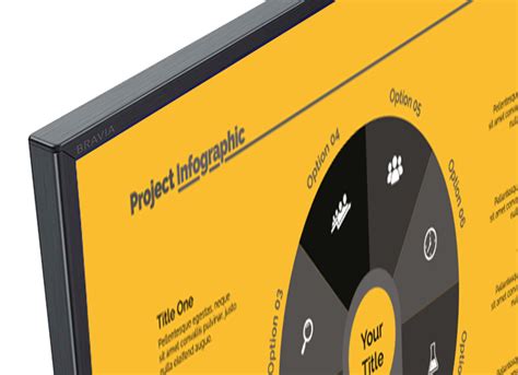 Professional Displays vs. Consumer Displays: What's The Difference ...