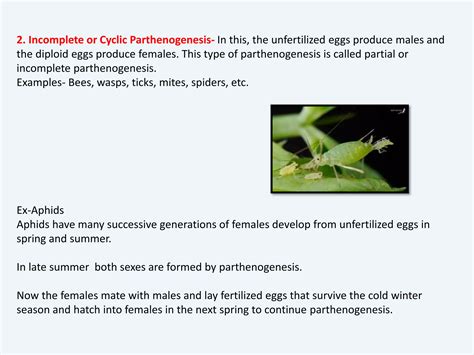 Image result for Parthenogenesis Examples