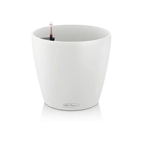 CLASSICO Color 35 white All-in-One Set