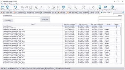 Image result for Activation Key for File Magic