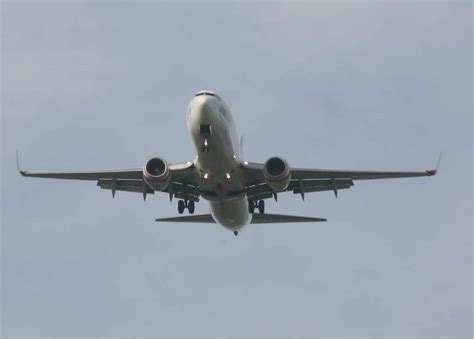 Flight 的图像结果