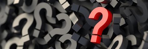 Questions Every Tenant Should Ask While Renting A House In India