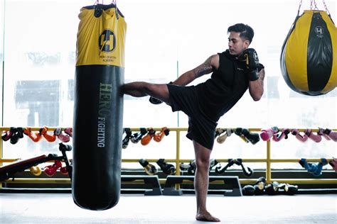 Best Punching Bags - Complete Guide