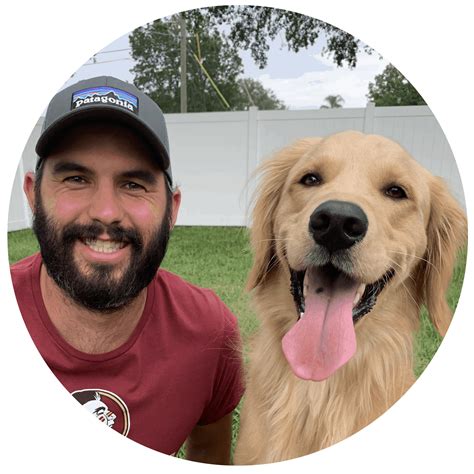 Golden Retriever Rescues In Maine (Adopt A Golden Retriever Near You ...