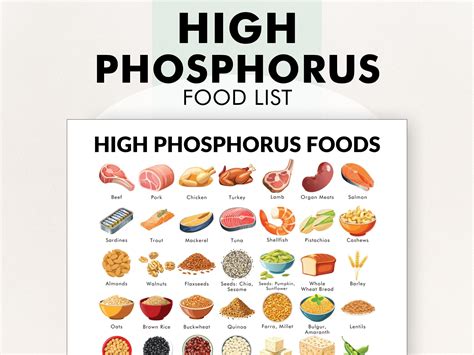 Foods High in Phosphorus Poster, High Phosphorus Foods to Avoid, Food List PDF, Download and ...