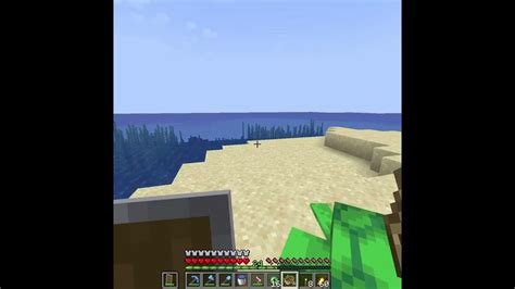 Minecraft Java F3 Texture 的图像结果