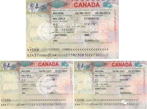 加拿大签证办理详细流程解析 -加拿大签证翻译-证件翻译 | 鑫美译翻译