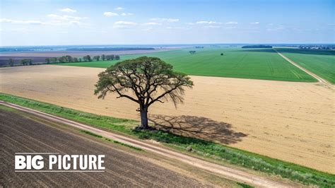 7 Good Transition Words for a Conclusion to Use in 2025 | Natural Write