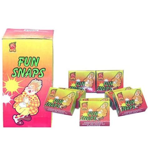 Who to Use Fun Snaps 的图像结果