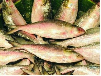 Bengali food stories