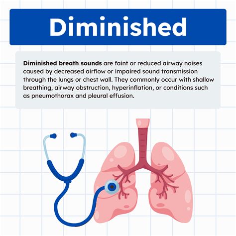 Diminished Breath Sounds: Overview and Practice Questions