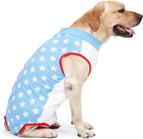 HEYWEAN Dog Recovery Suit Spay Suit for Female Dog Bodysuit After ...