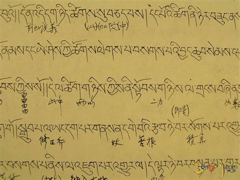 藏語文基礎教程藏文拼音字母發音拼讀學習教材