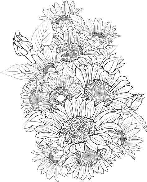 Sunflower Color Page at Anthony Soto blog