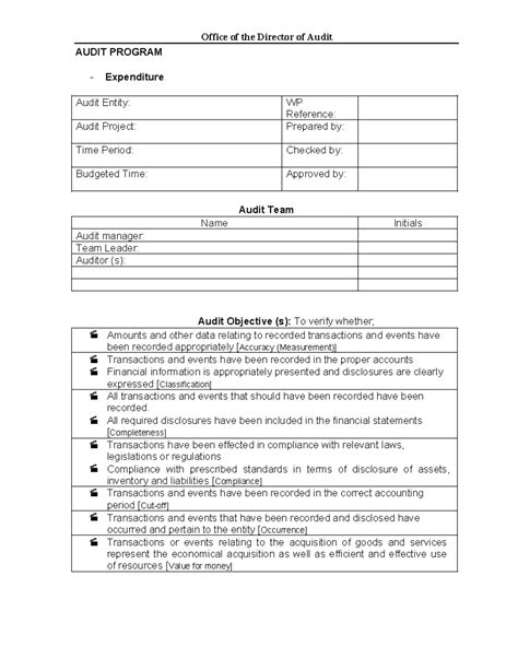 Image result for IT Audit Program Sample