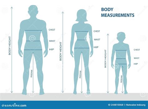Measurements Of The Children Body, Size Chart Cartoon Vector ...