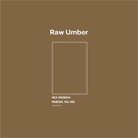 About Raw Umber - Color codes | Matching colors and paints - colorxs.com
