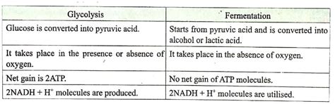 Differentiate Glycolysis and fermentation.