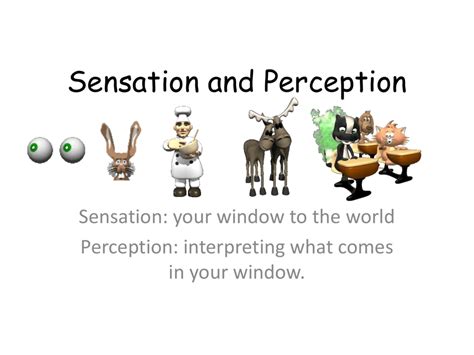 Image result for Sensation and Perception Examples