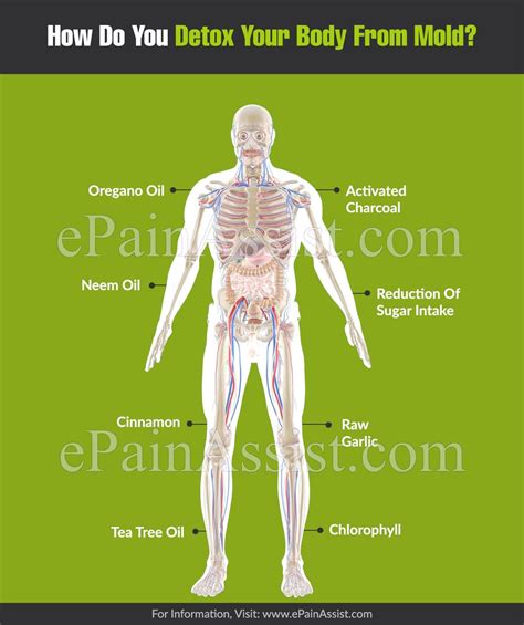 How Do You Detox Your Body From Mold?