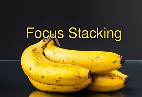 Image result for Focus Stacking Guide