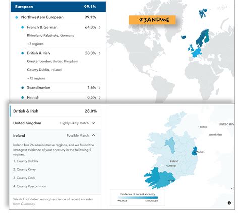 Image result for Irish DNA Testing