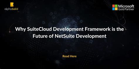 NetSuite Development 的图像结果