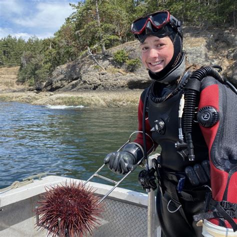 Sea Urchin – BC Seafood Alliances