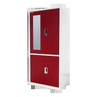 Tejas N Steel Almirah by Geeken – Full Mirror Door & 10 Hangers