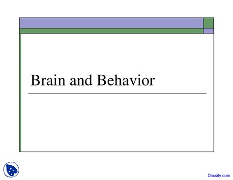 Brain and Behavior 的图像结果