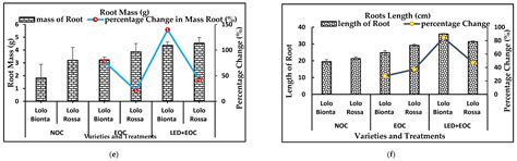 Optimizing Lettuce Growth in Nutrient Film Technique Hydroponics ...