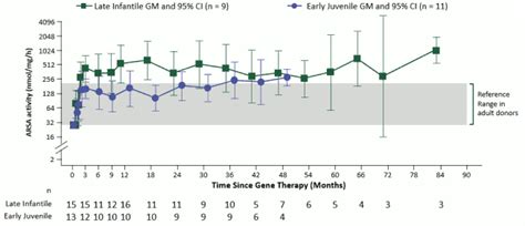 LIBMELDY Dispersion for infusion Pharmacology - MPI, EU: SmPC - RxReasoner
