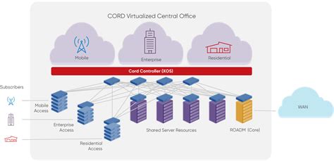 Cord Computer Simulation 的图像结果